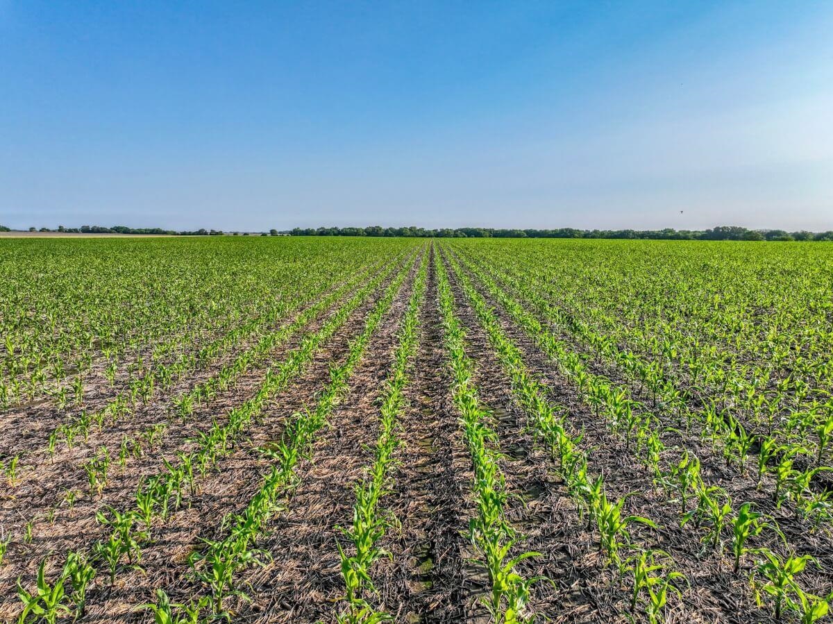 000 K 196, Whitewater, KS 67154