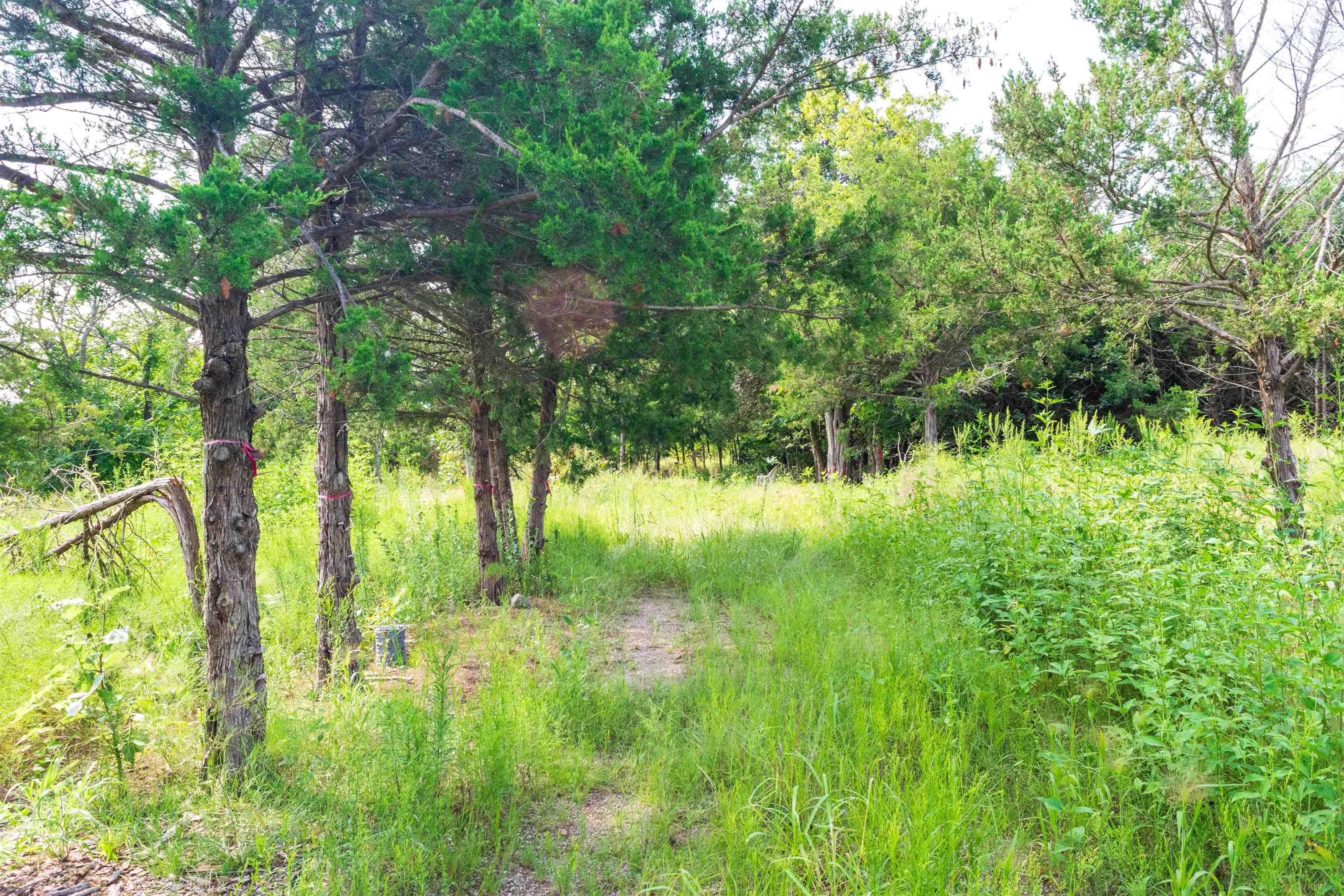 1674 8th St, Severy, KS 67137