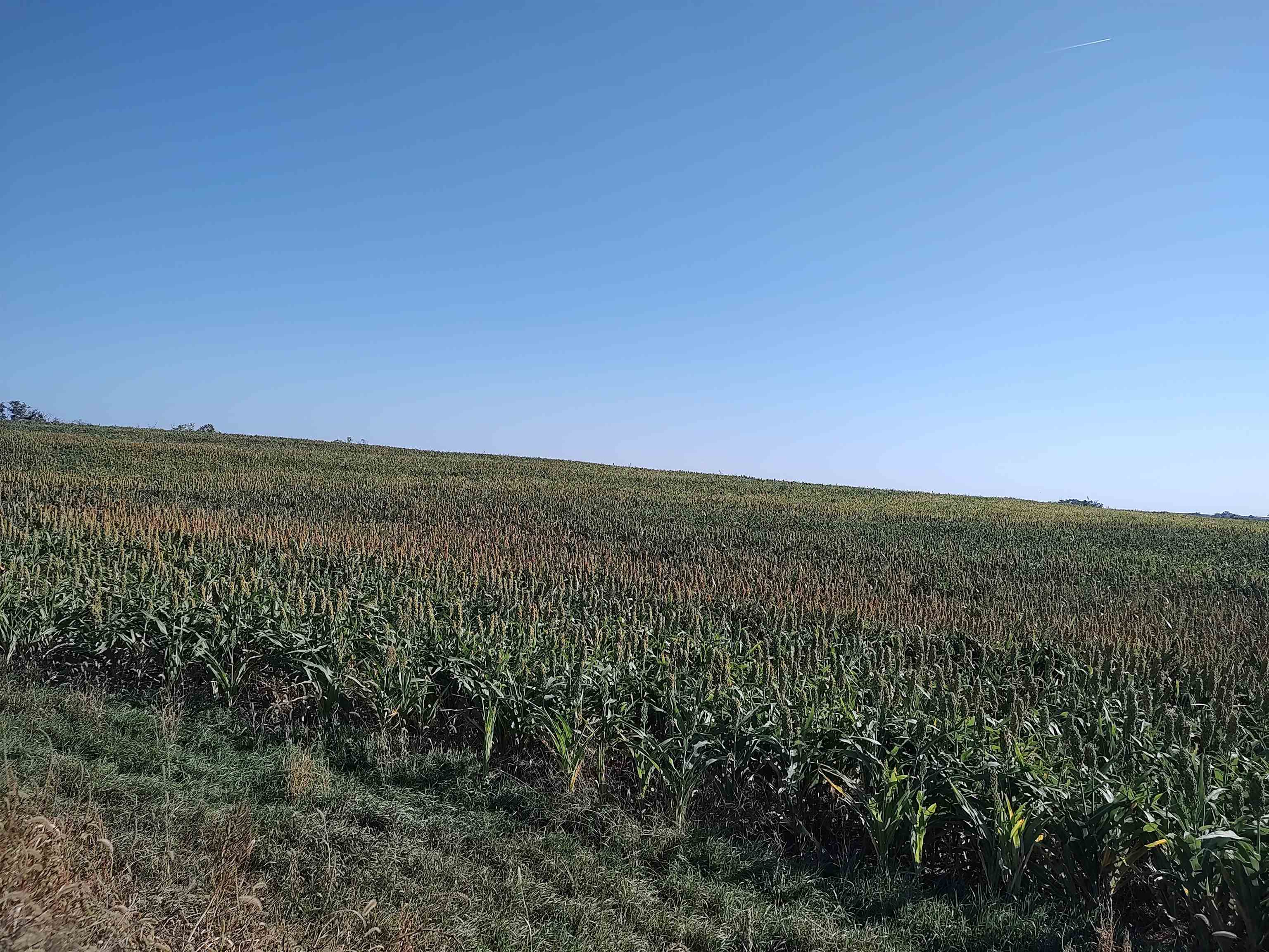 00000 E Wheat Dr, Sylvan Grove, KS 67481