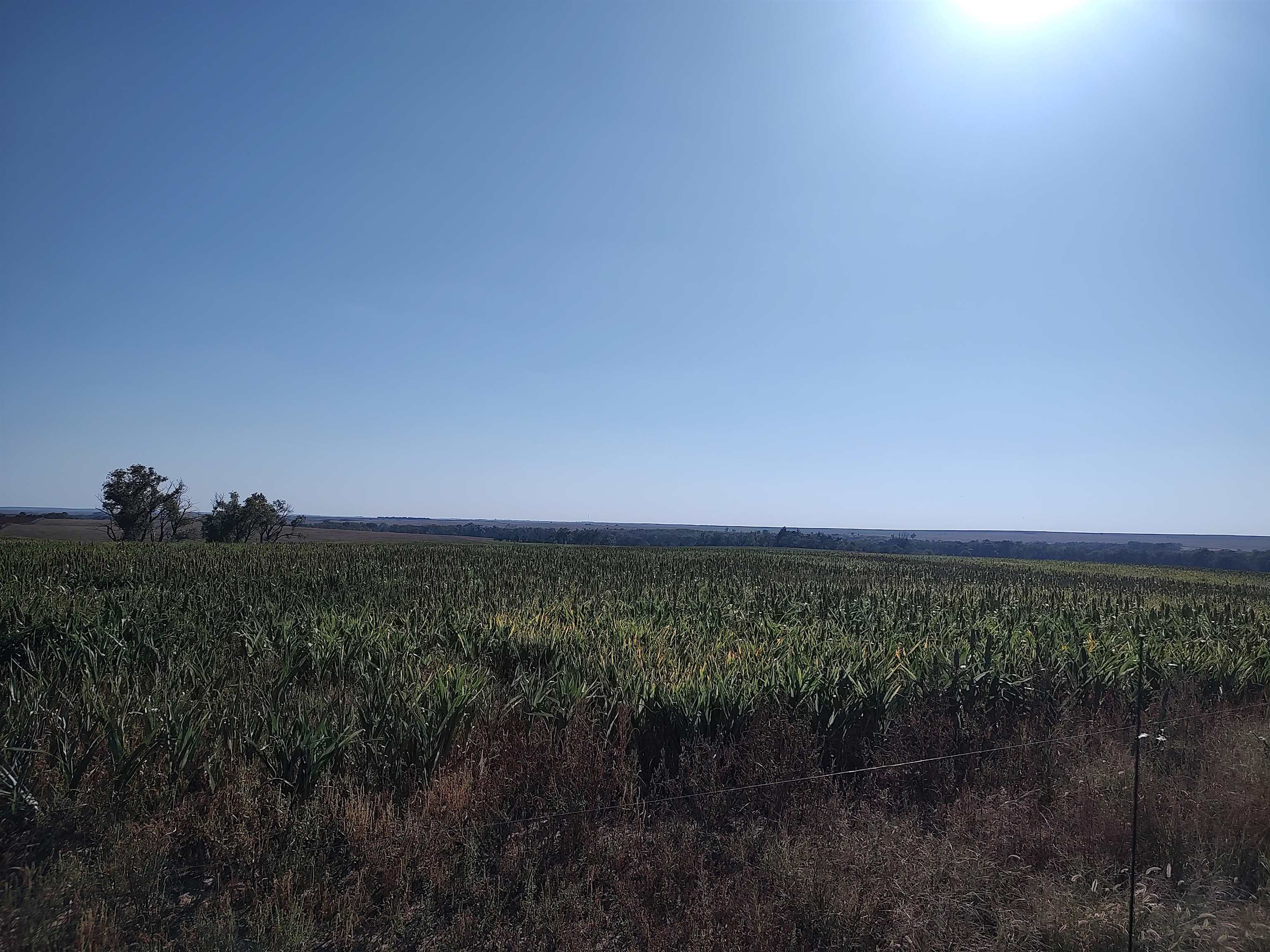 00000 E Wheat Dr, Sylvan Grove, KS 67481