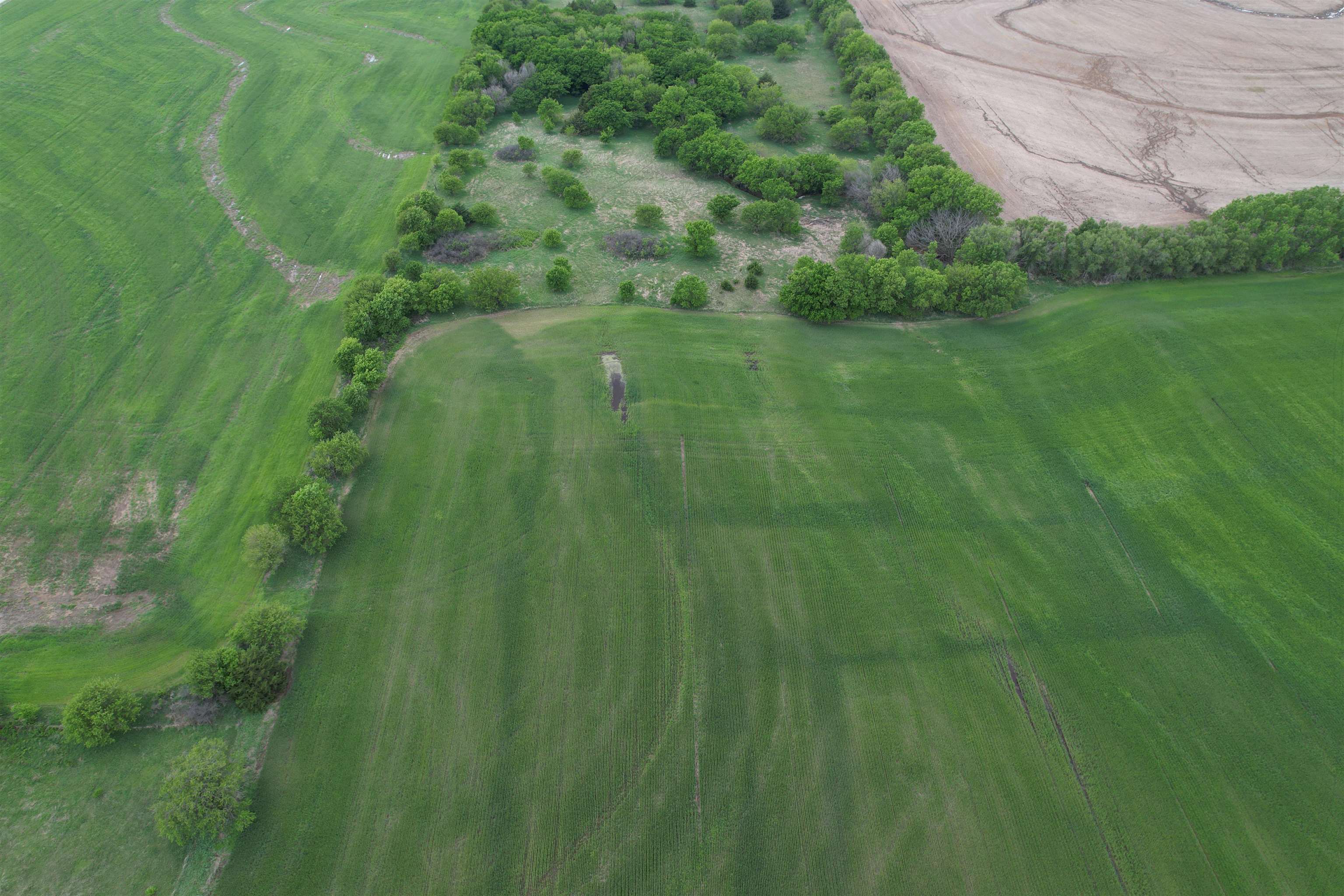 0000 Daisy Rd, Carlton, KS 67448