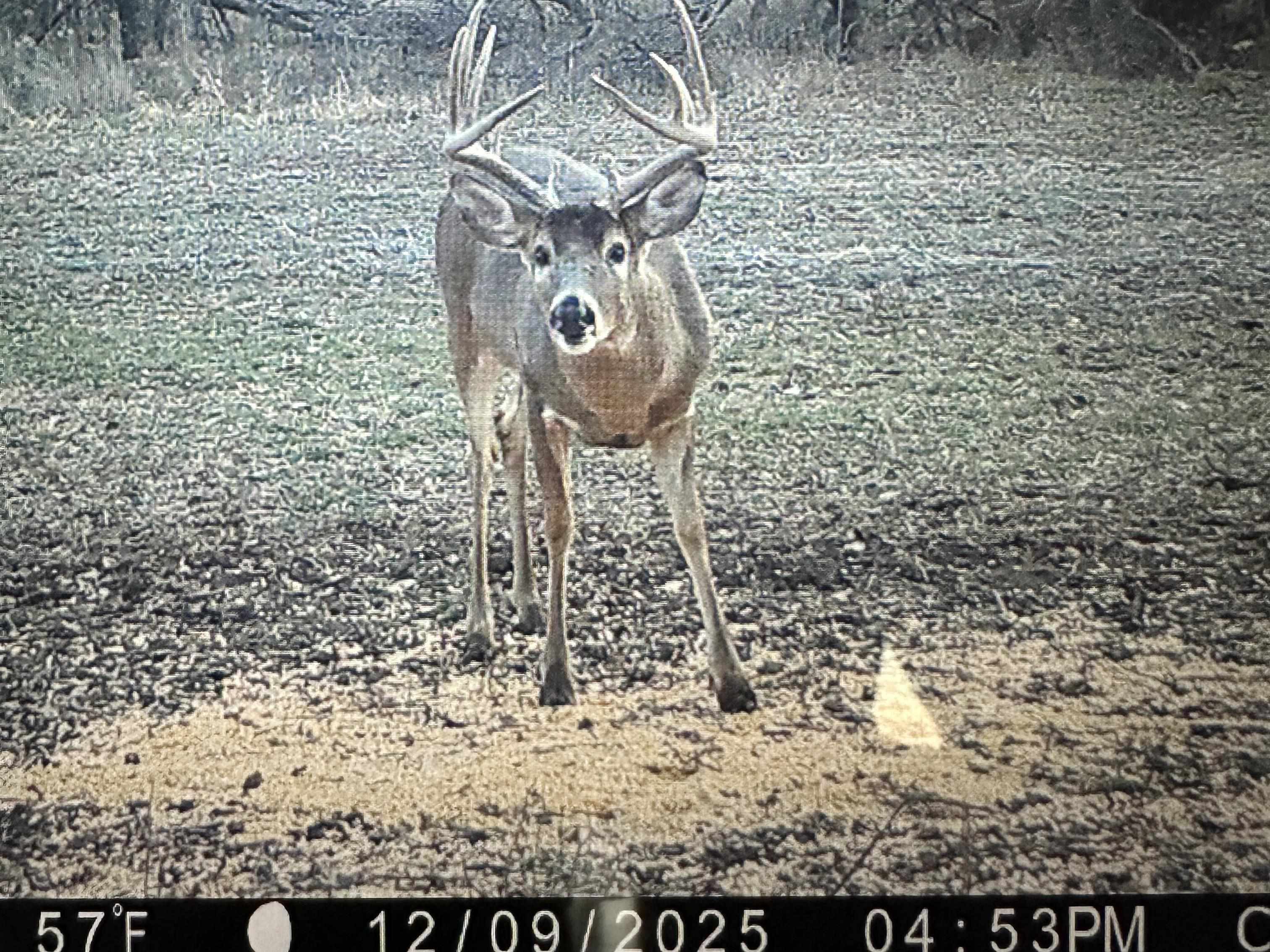 2375 Camp Rd, Miltonvale, KS 67466