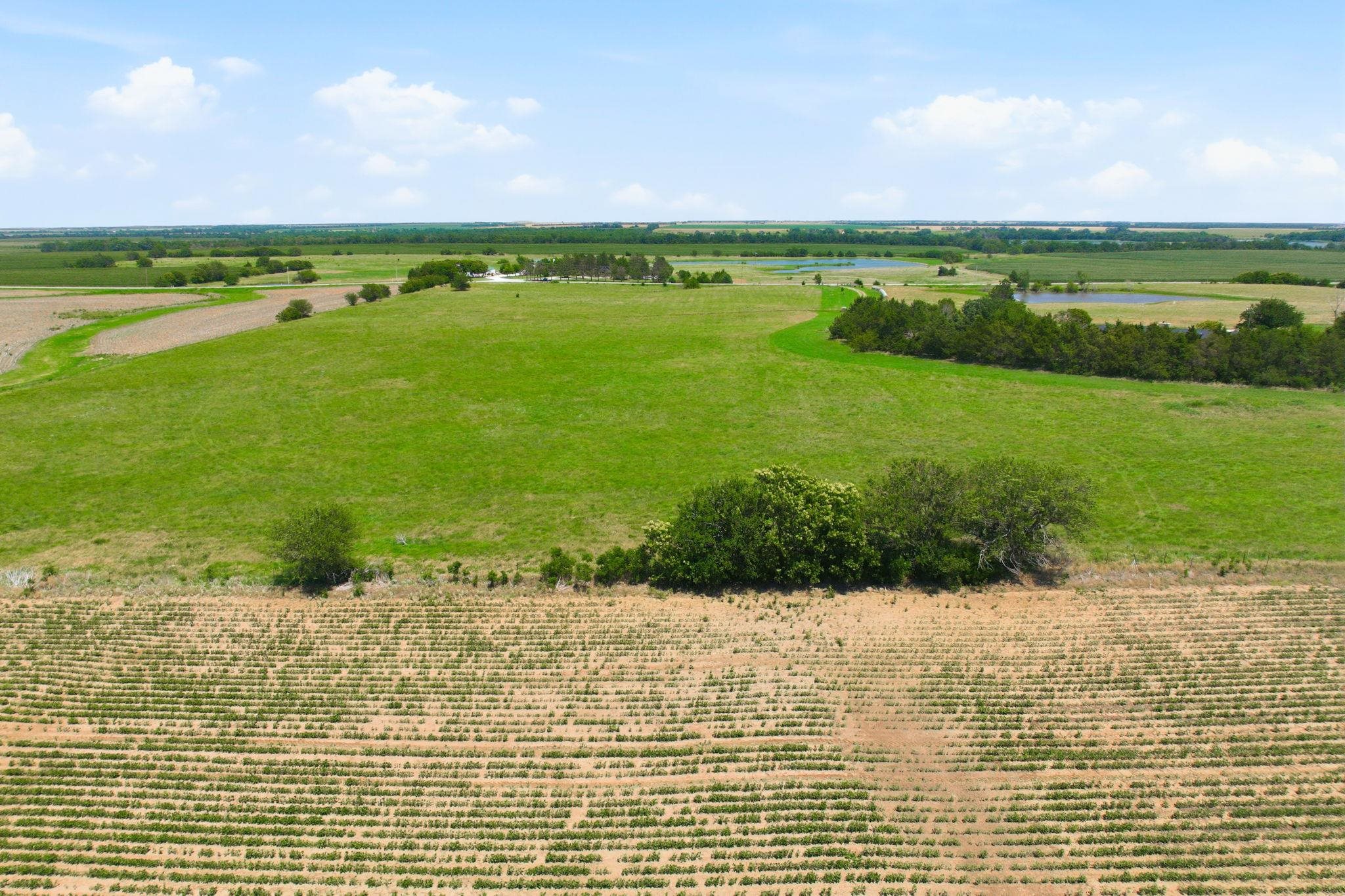 369 S Anson Rd, Mayfield, KS 67103