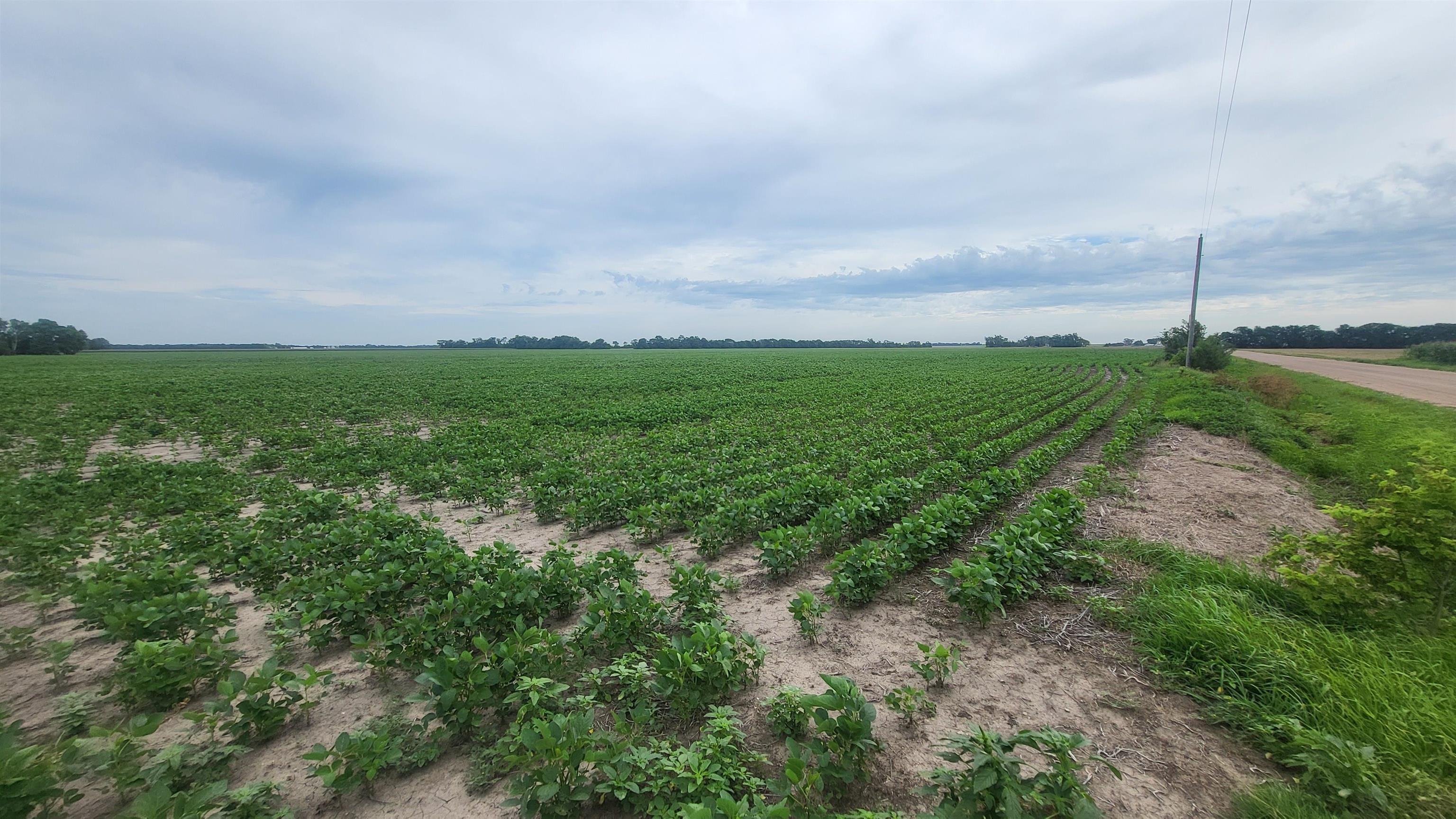 0000 N 22nd Avenue & Eisenhower Rd Chisholm Road & 22nd Avenue, Moundridge, KS 67107