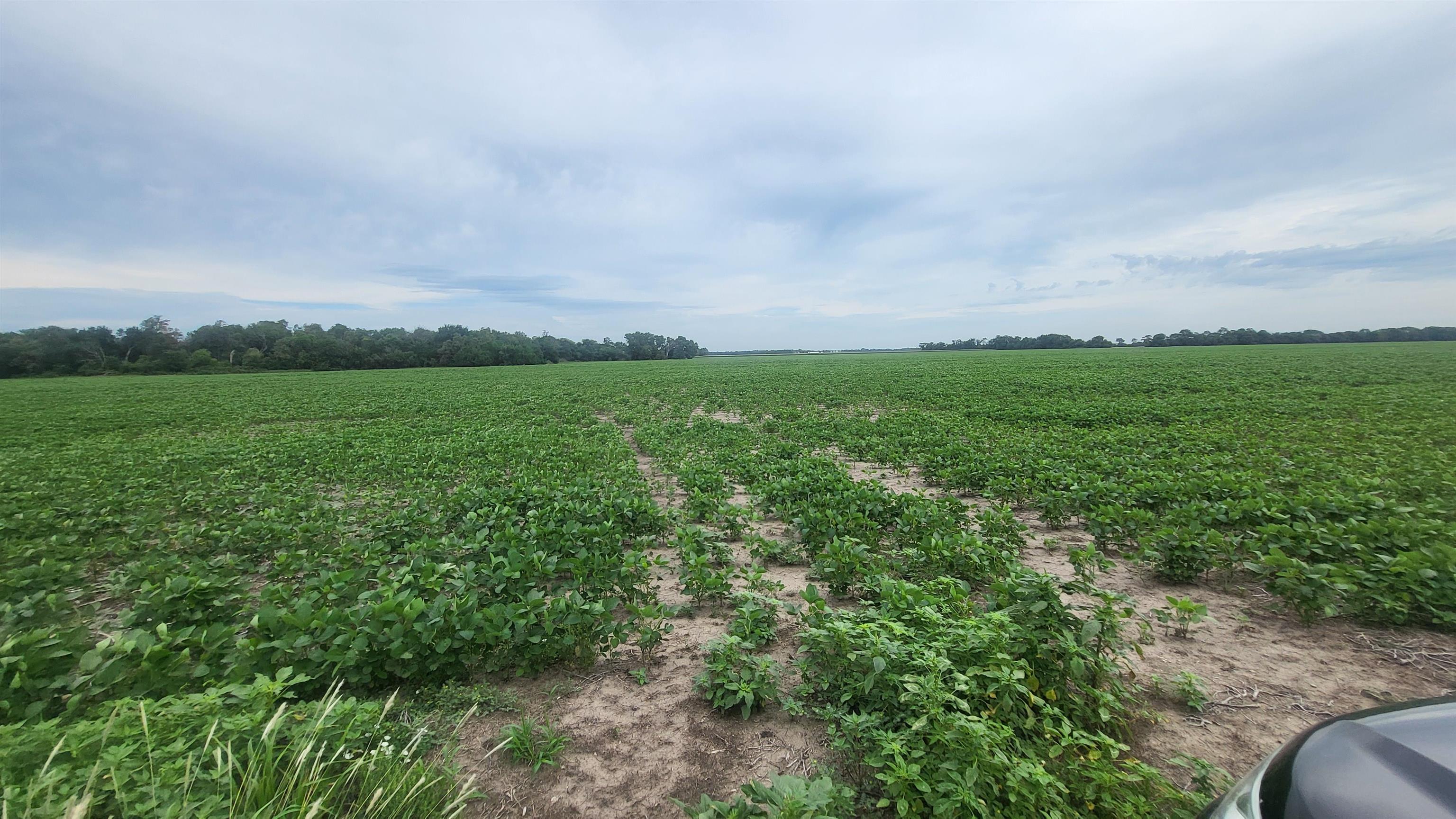 0000 N 22nd Avenue & Eisenhower Rd Chisholm Road & 22nd Avenue, Moundridge, KS 67107